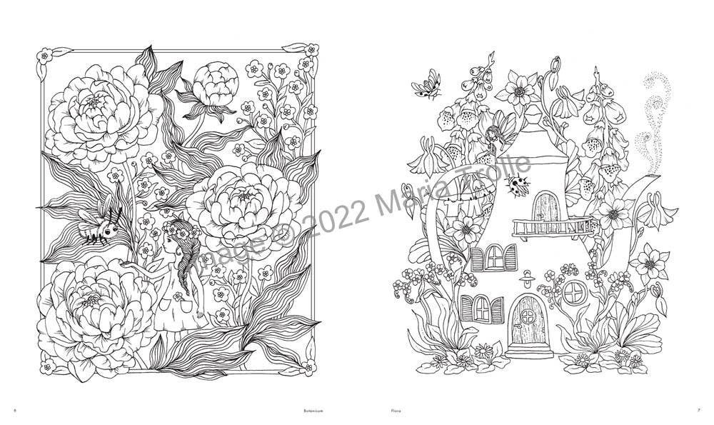 Gibbs Smith - Vente Livre de coloriage et d'activités pour adultes - Cahier de coloriage L'univers de Maria Trolle1