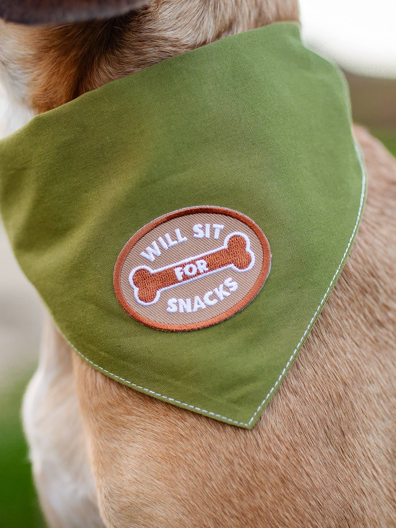 Scout's Honour Pty Ltd - Vendita all'ingrosso Bandana - Cani - Toppa termoadesiva "Mi siedo per snack" per cani e gatti