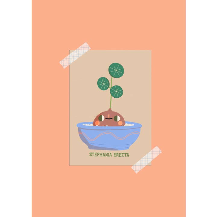 Botanical Stephania Erecta Bulb postcard / Cute Kawaii for wholesale by Bloemkolie