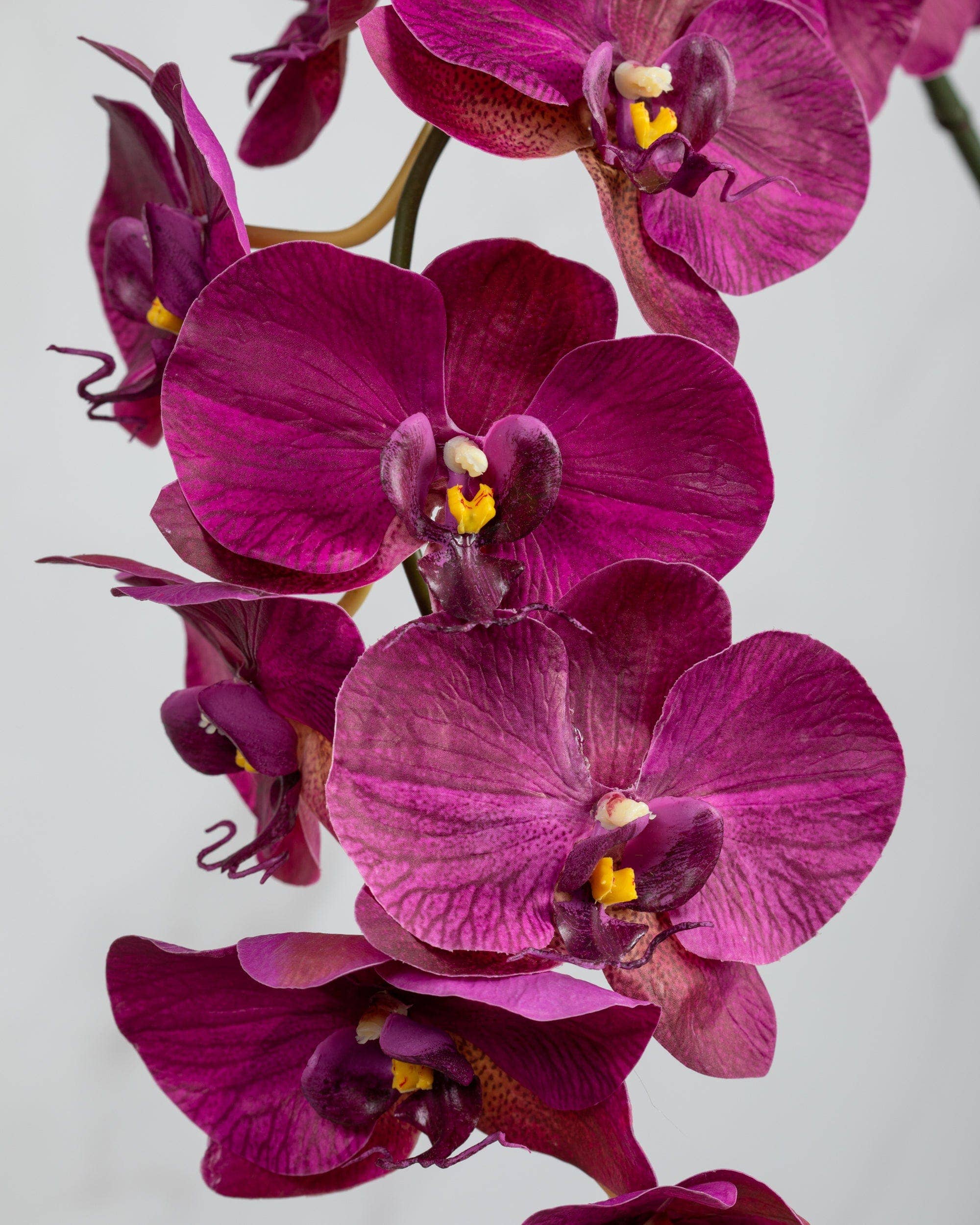 Prestige Botanicals - Wholesale Artificial Flowers - Deep Magenta Phalaenopsis Orchid 34"3