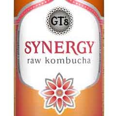 Hudson Meat Company - Wholesale Kombucha - KOMBUCHA PEACH PARADISE SYNERGY - GTS