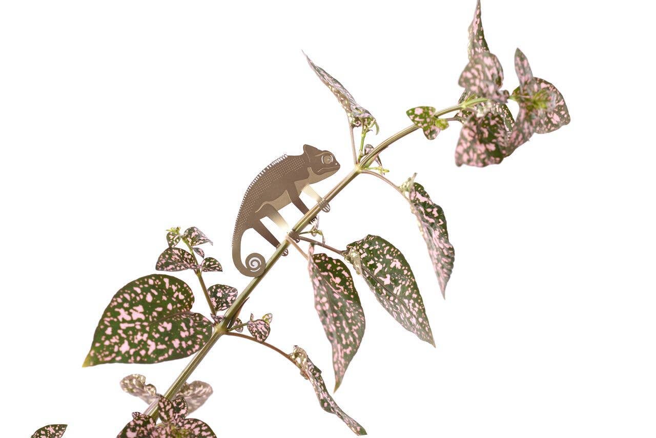 Another Studio UK - Wholesale Ornament - Plant Animal - Chameleon, Garden Decor4