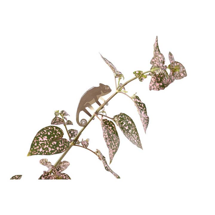 Another Studio UK - Wholesale Ornament - Plant Animal - Chameleon, Garden Decor4