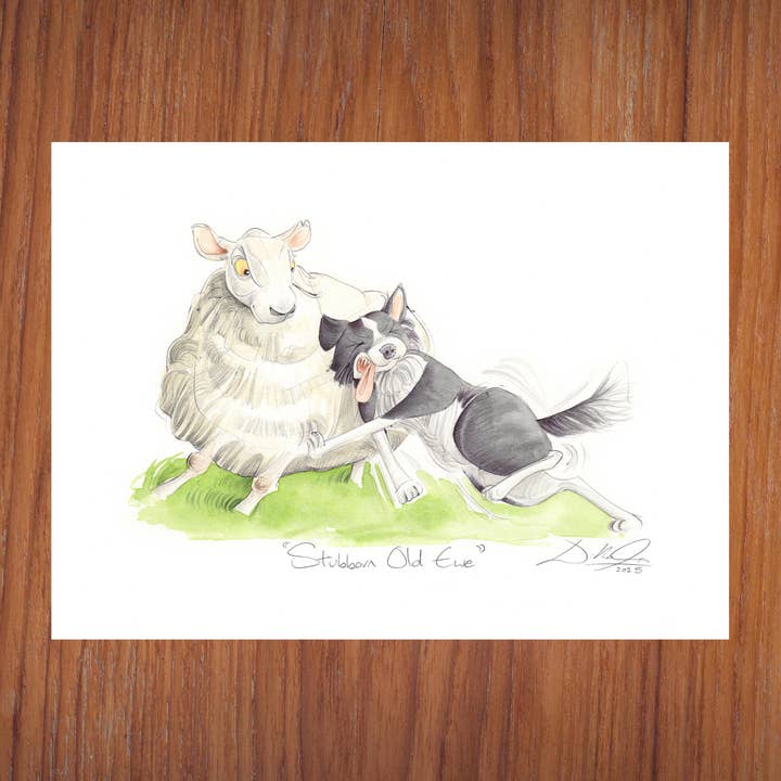 Stubborn Old Ewe - Open Edition Giclee Art Print for wholesale by Will Gorman Art