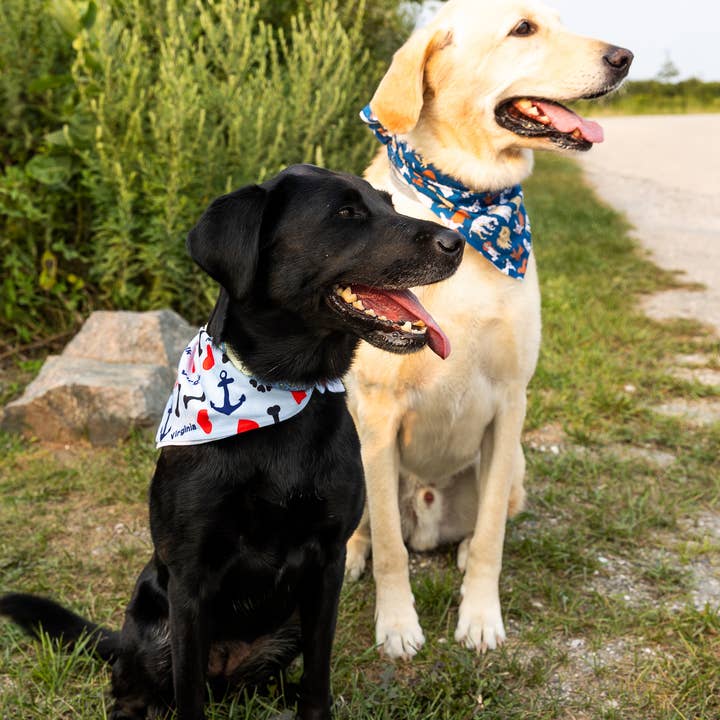 Bandana aka Dogdana -Doggie Bandana for wholesale by Maritime Tribes LLC
