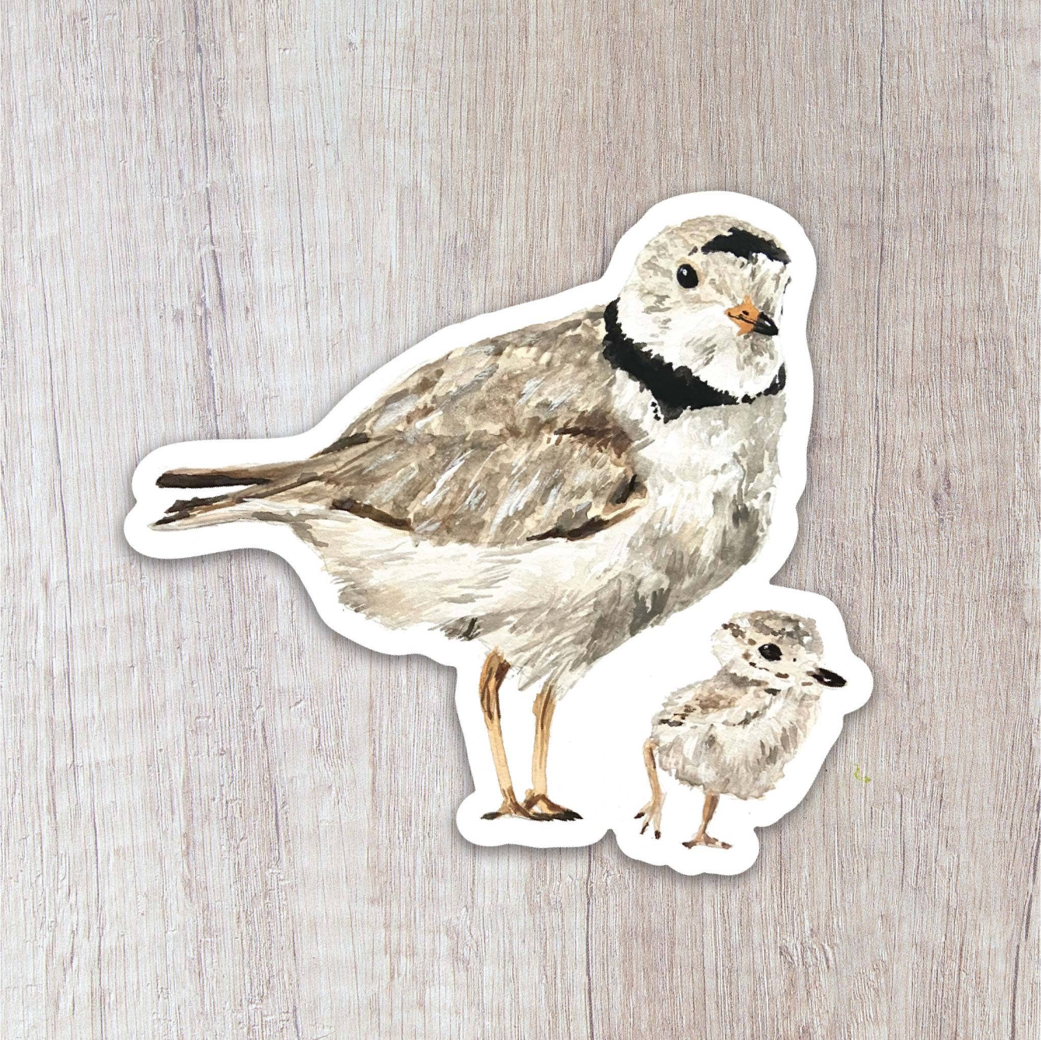 Brush & Bark - Wholesale Sticker - Piping Plovers Sticker
