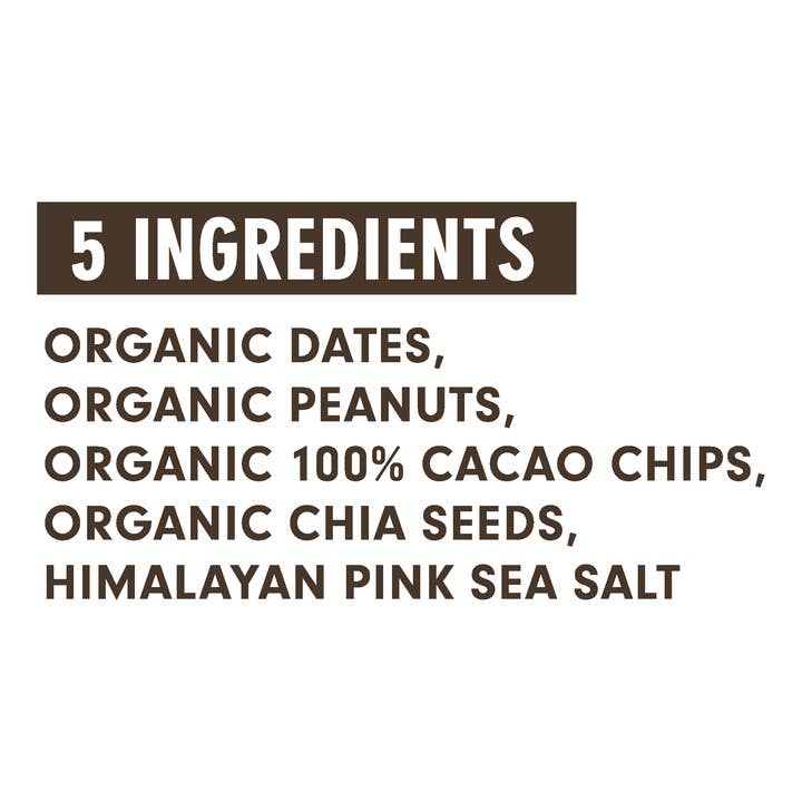 Righteous Felon Craft Jerky - Wholesale Snack Bar - Jonesbar Chocolate Peanut Butter Organic Energy Bar 1.7oz