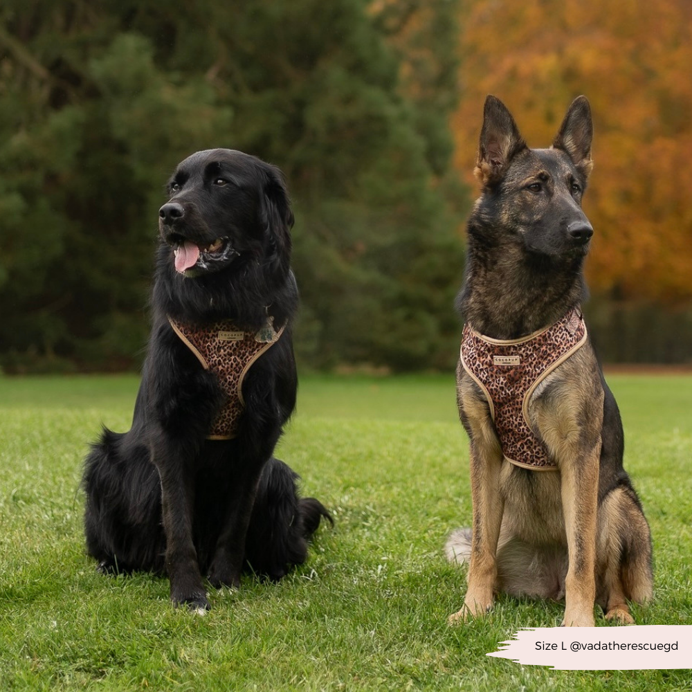 Cocopup London - Wholesale Pet Harness - Dog - Quilted Leopard Pup Adjustable Neck Harness49