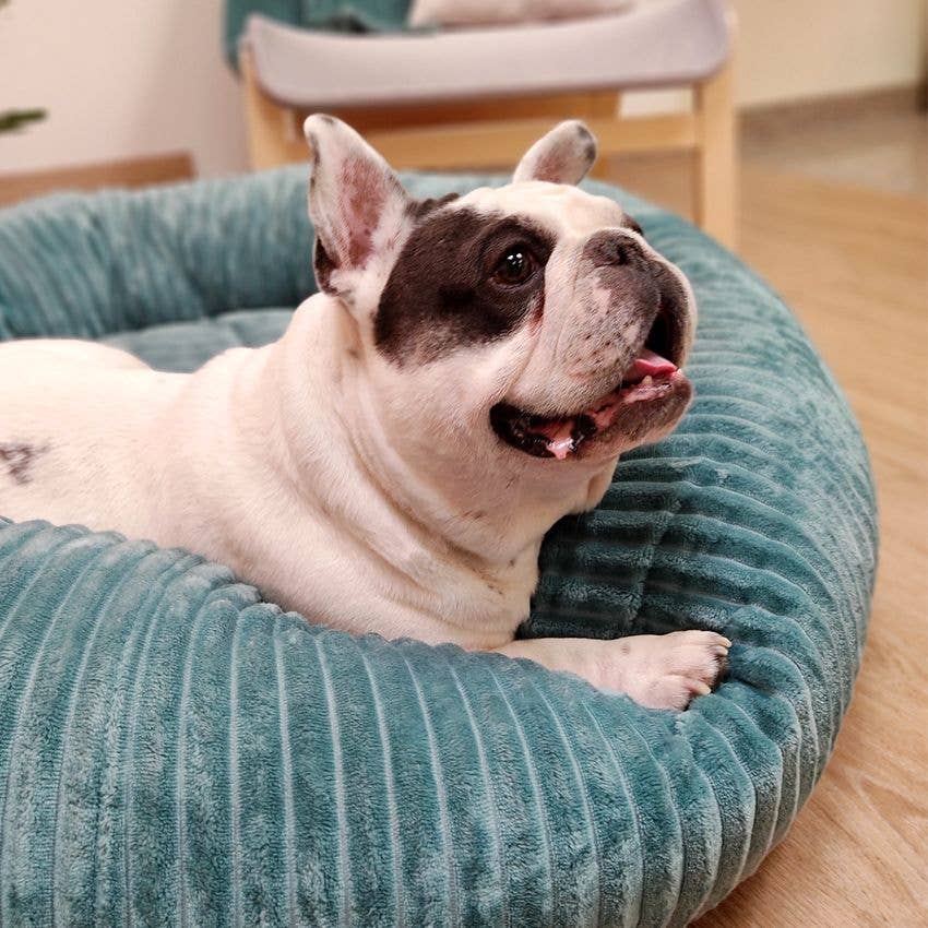 Croci - Vente Panier – chien - Panier pour chien doux Supersoft Hyg en forme de donut3