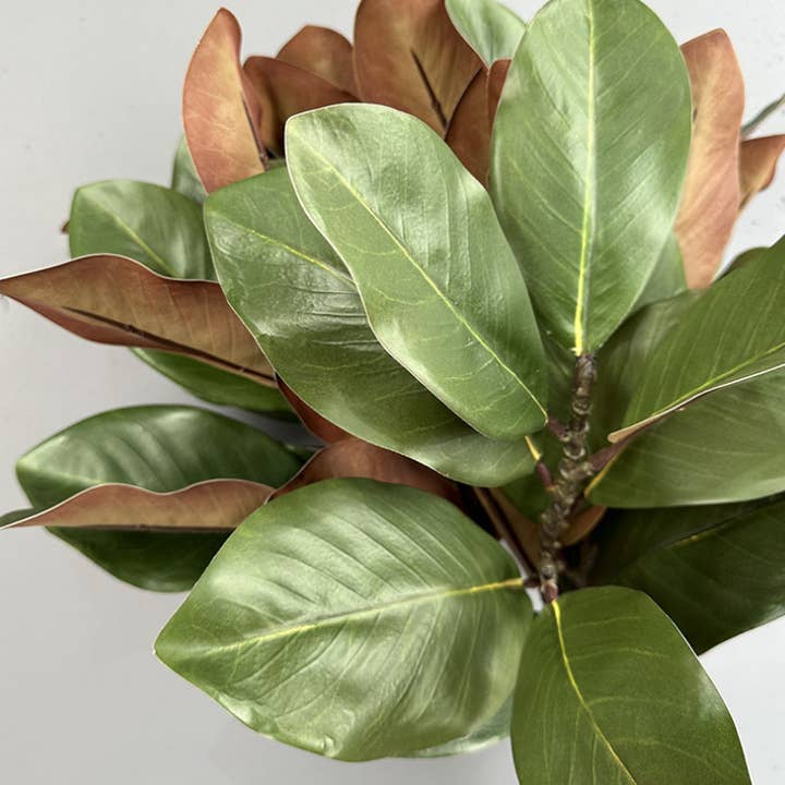 Sweet Home Deco - Wholesale Artificial flowers - 22''T Nature Touch Faux Magnolia Leaf Branch, Indoor/Ourdoor1