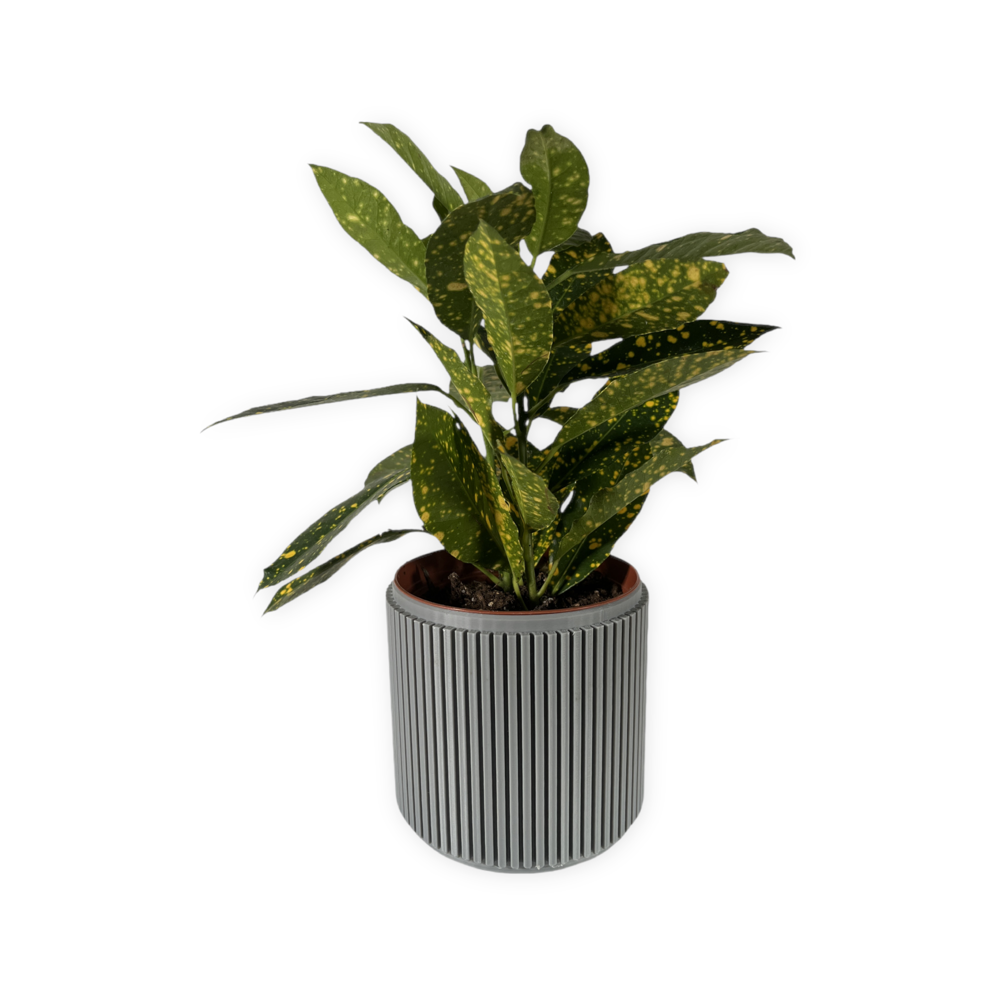 Leafprints.3d - Wholesale Plant Pot - The Willow – 4 Inch Cover Pot (No Drainage)7