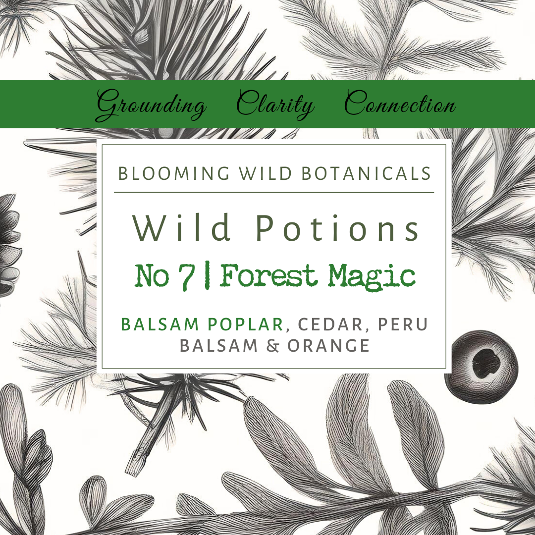 Blooming Wild Botanicals - Wholesale Aromatherapy Lotion/Oil - Forest Magic Aromatherapy Potion No 74