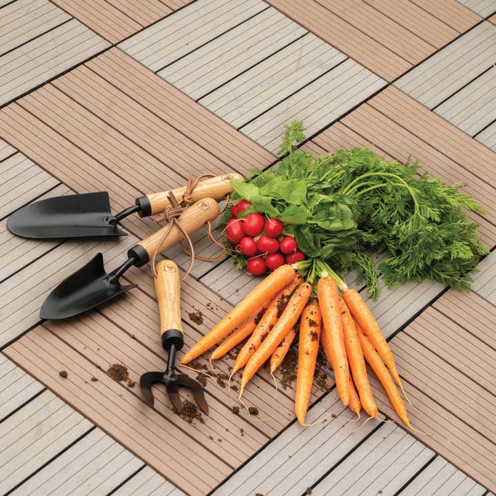 Laguiole - Venta al por mayor Herramientas de jardín - Laguiole Set de 3 Herramientas de Jardinería + Caja de Almacenamiento