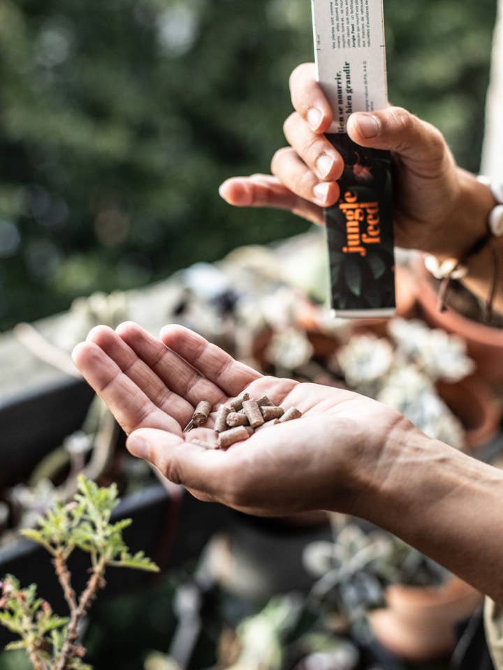 Jungle Stick for wholesale by JUNGLE FEED