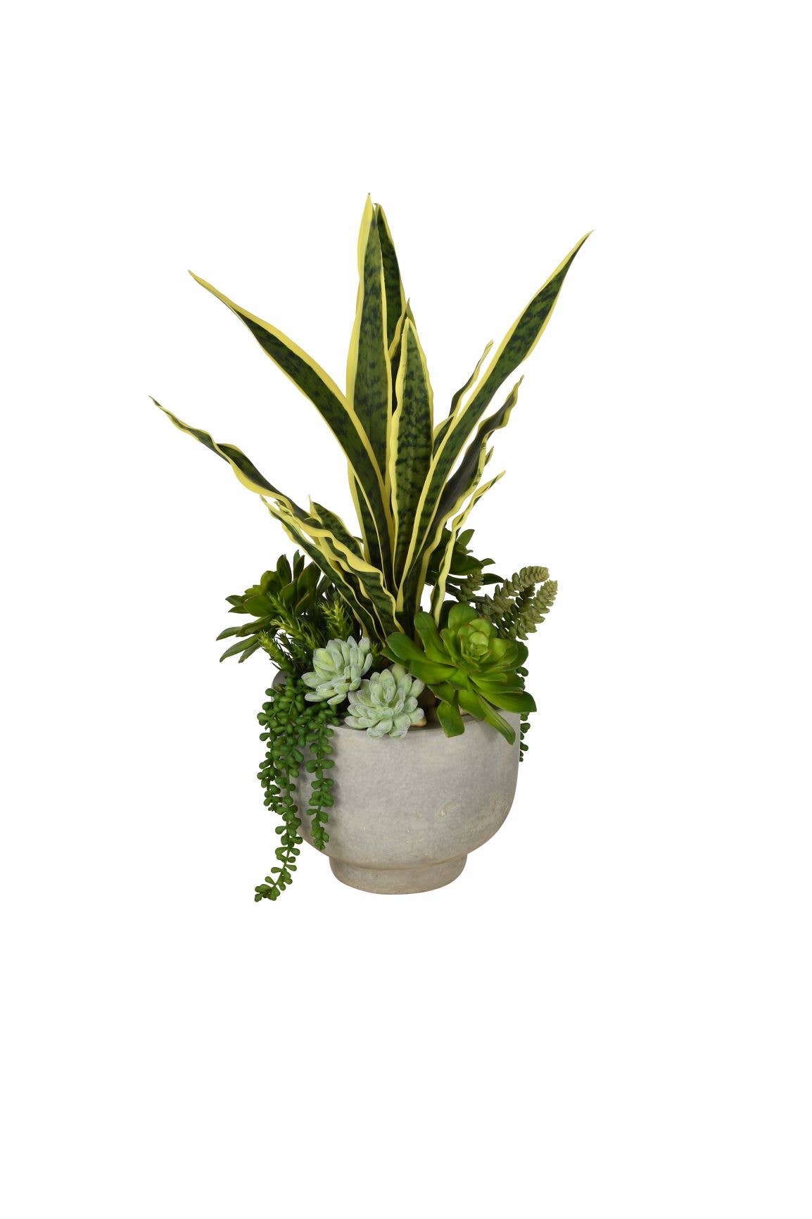 Replica Plants and Decor - Wholesale Plant Pot - Mack Collection Compote Bowls   CN10074