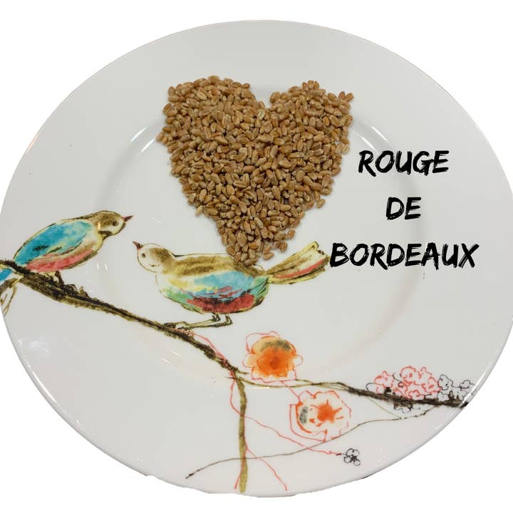 Guardian Grains - Vente Farines - Baies de Blé Rouge De Bordeaux1