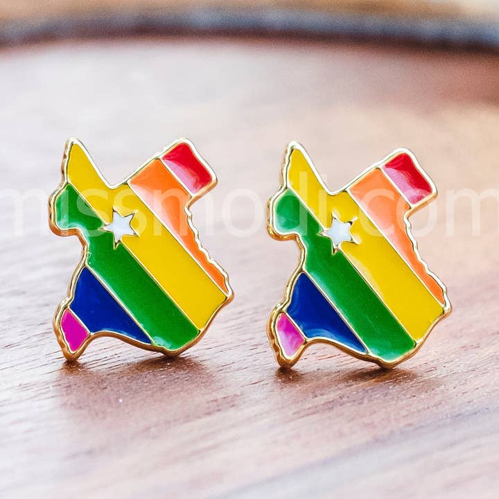 Texas Rainbow Enamel Earrings/ Bracelet/ Necklace for wholesale by Miss Modi