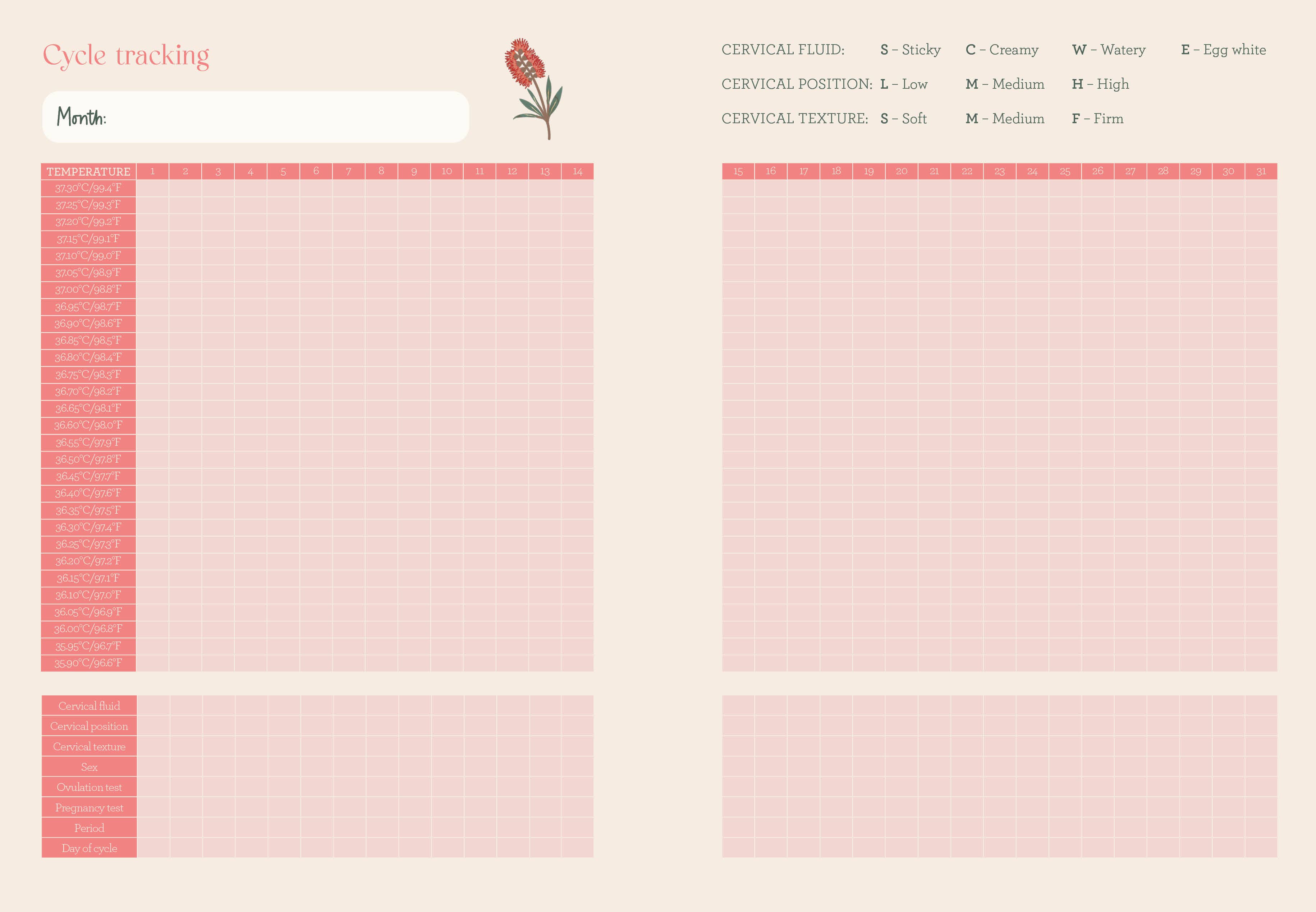 ROCKPOOL PUBLISHING - Vente Journal intime - Mon journal de bien-être6