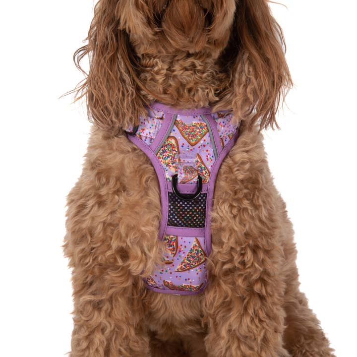 Big and Little Dogs - Wholesale Pet harness – Dog - THE ALL-ROUNDER DOG HARNESS: Purple Fairy Bread5