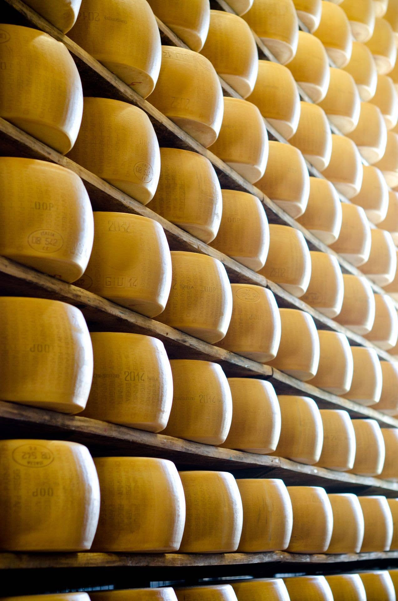 I MACORITTI - Wholesale Crackers - Mini Grissini I Macoritti with Parmigiano Reggiano PDO11