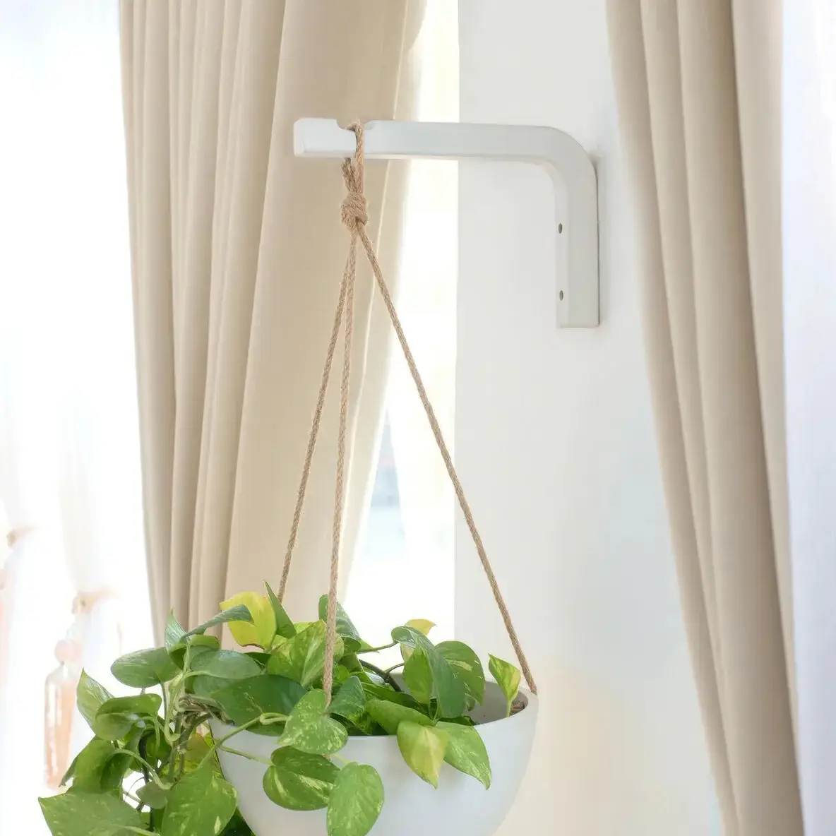 Kanso Designs - Wholesale Wall Planter - Wooden Plant Hanger Hook3
