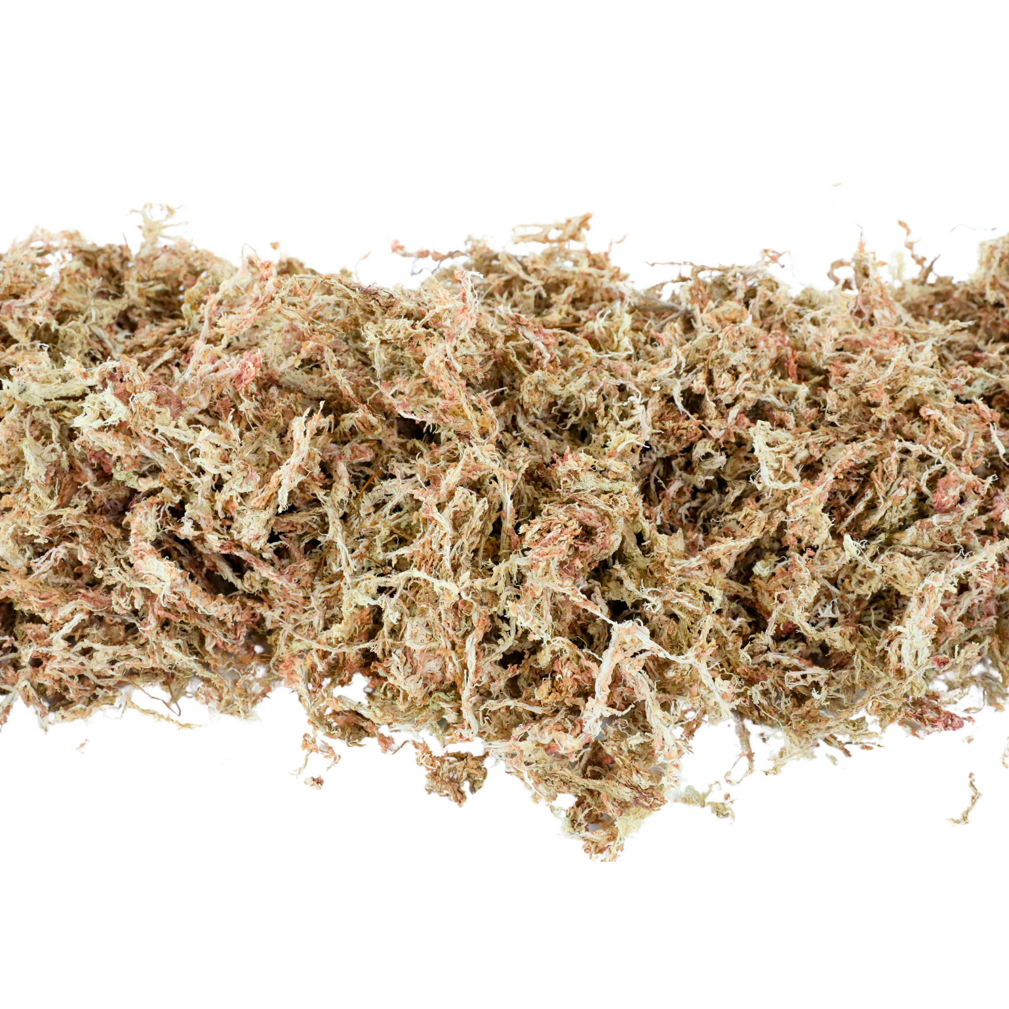 Mossify - Wholesale Planting/Potting Soil - Premium Long Fiber Sphagnum Moss – For Orchids & Kokedamas6