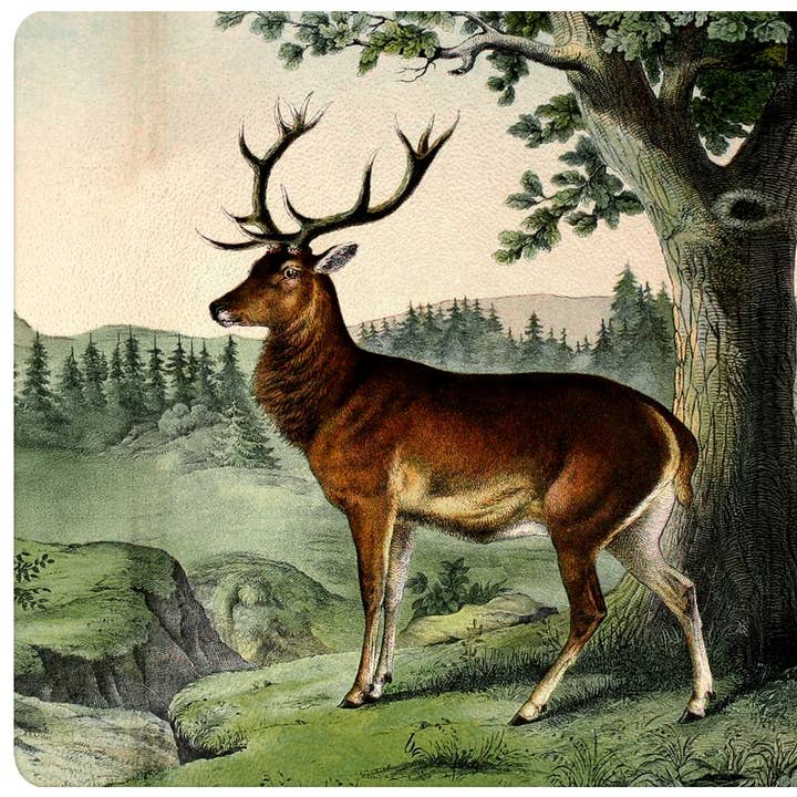 GB6828-A Hjort Glas Skärbräda för wholesale av Marye-Kelley