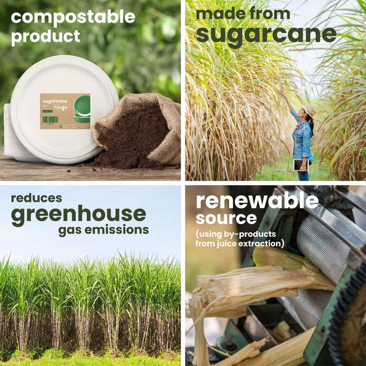 Häago - Wholesale Disposable plate - 60 Recyclable Sugarcane Bowls4