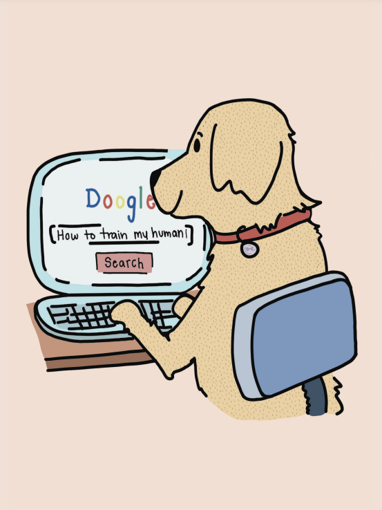 Only An Ocean Europe - Vendita all'ingrosso Snack - Cani - Cartoline commestibili personalizzabili per cani16