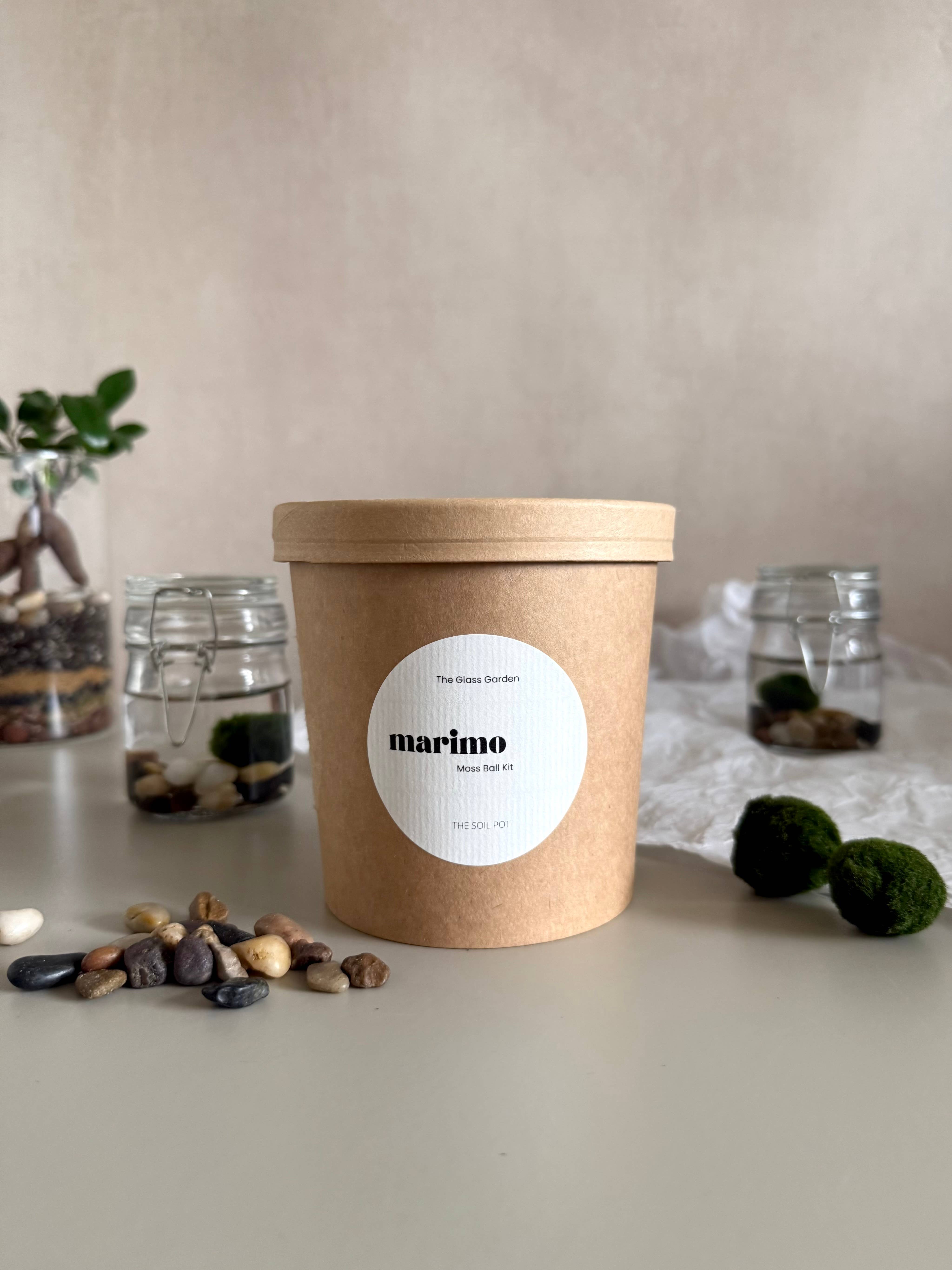 The Soil Pot – wholesale Live plant – Marimo Moss Ball Jar in Gift Box2