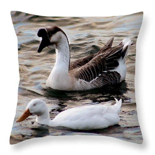 COUSSIN « LA SAUVAGINE POUR UNE PROMENADE » pour la vente par sorayadapuzzostore