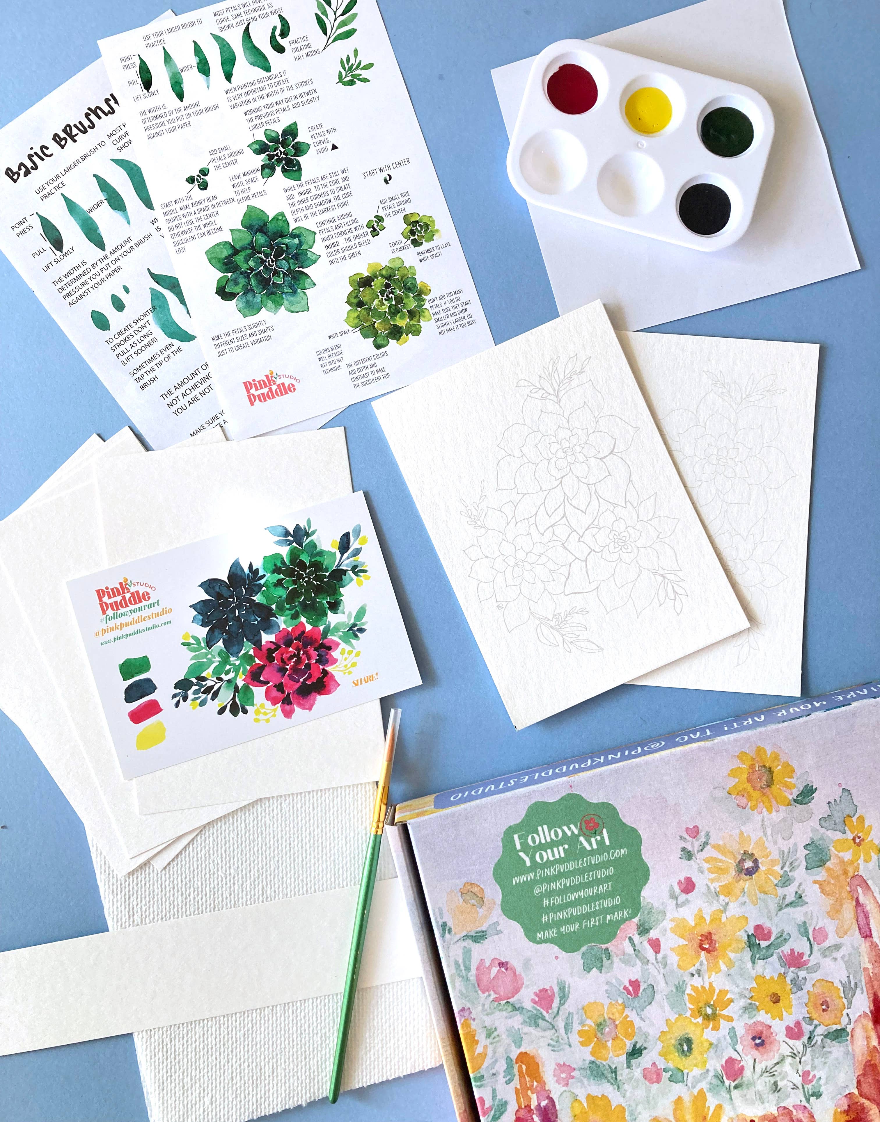 Pink Puddle Studio - Wholesale DIY Craft Kit - Succulent Painting DIY Watercolor Craft Kit3