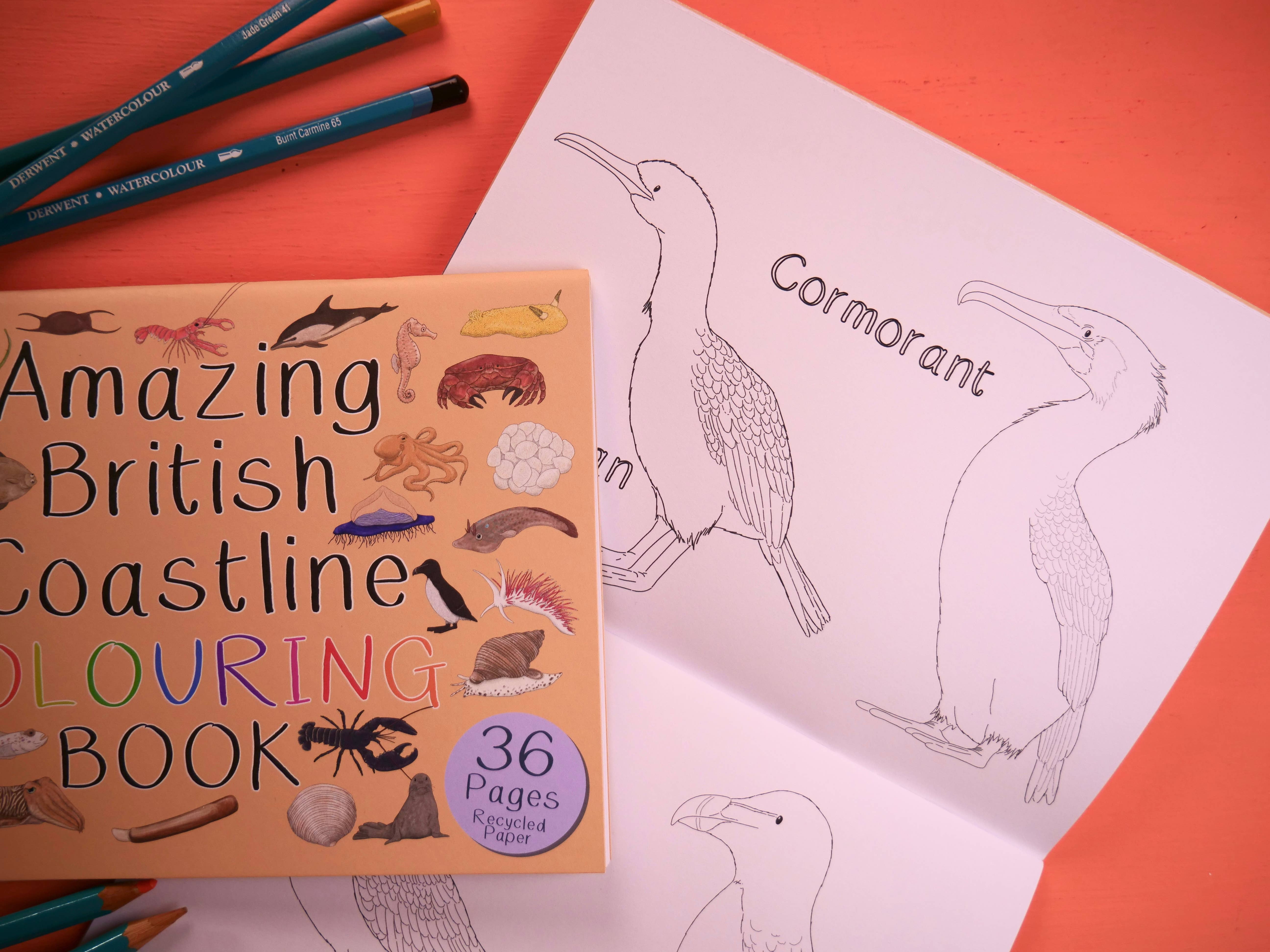 Button & Squirt – wholesale Colouring and activity book – kids and baby – Amazing British Coastline Colouring Book2