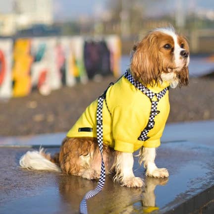 Yellow Water resistant dog fleece for wholesale by Bella Katee Pets
