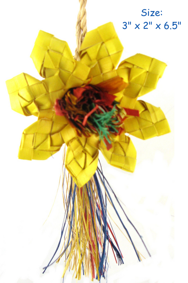 Planet Pleasures – wholesale Fågelgunga – Solros0