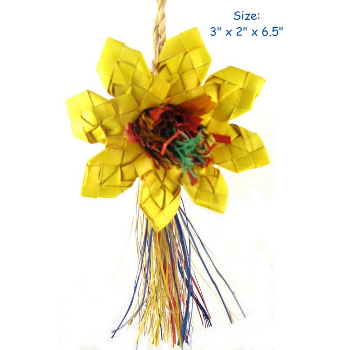 Planet Pleasures - Wholesale Bird swing/toy - Sunflower