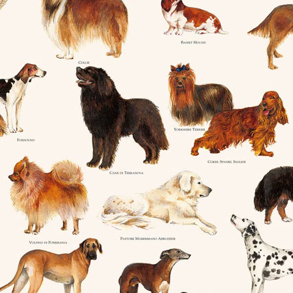 Honden - 70 x 100 cm voor wholesale door Grafiche Tassotti