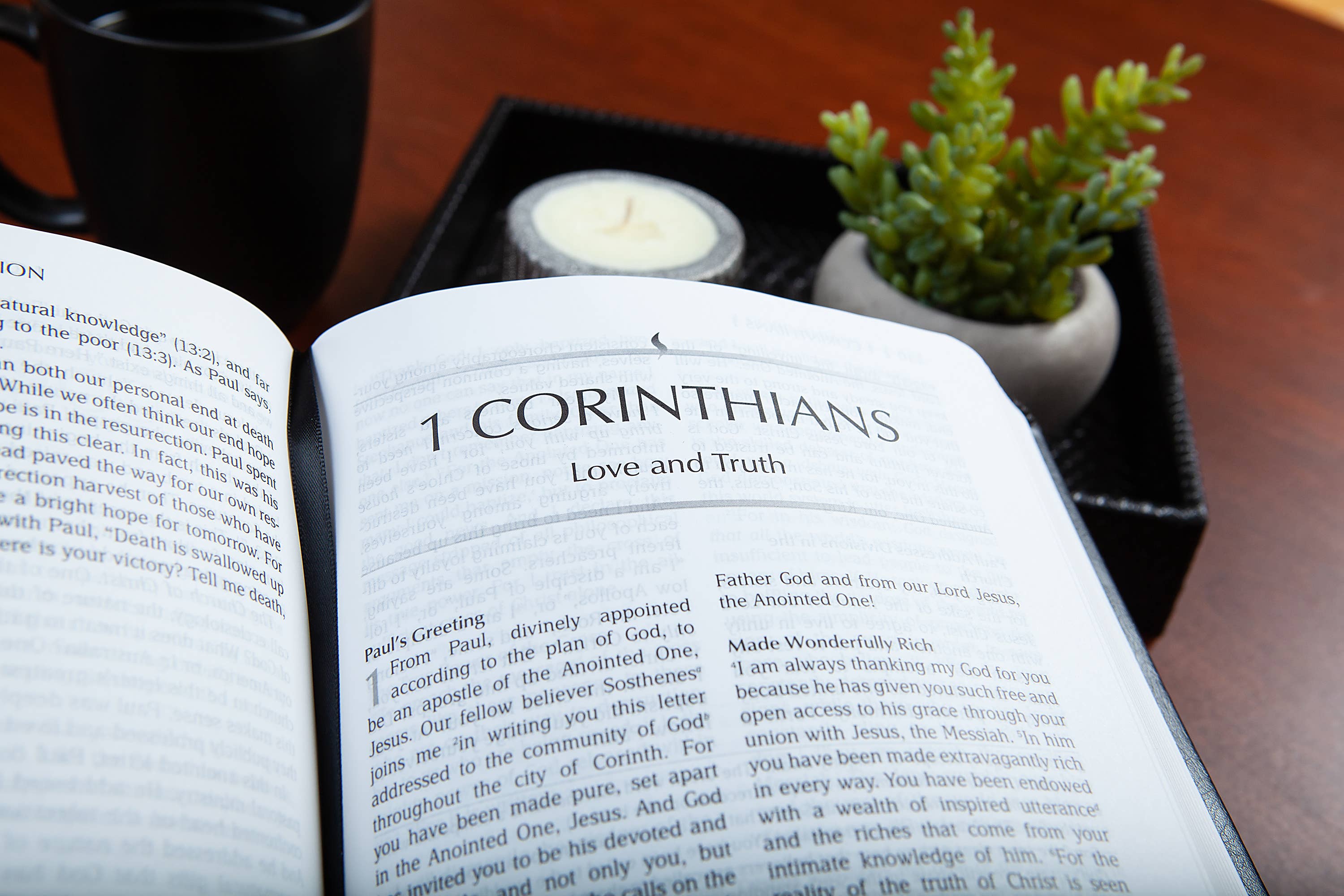 BroadStreet Publishing Group, LLC - Wholesale Religion - The Passion Translation New Testament (Large Print Black)3