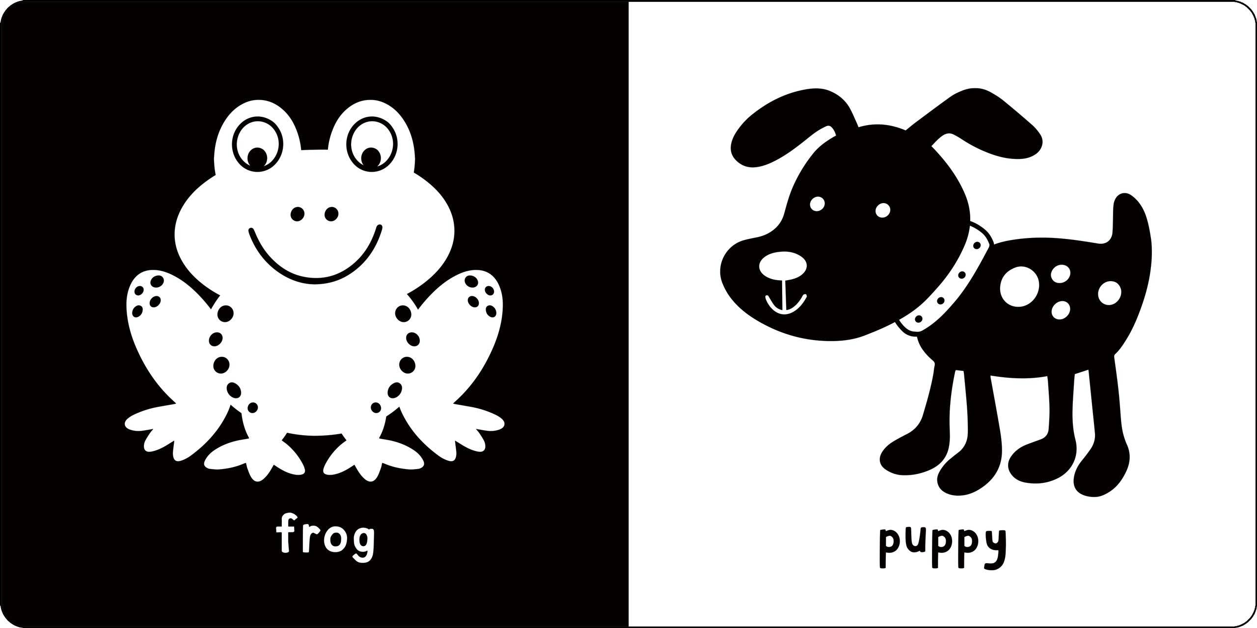 Peter Pauper Press - Wholesale Baby & Toddler Book (0-2) - What Does Baby See? A High-Contrast Board Book5