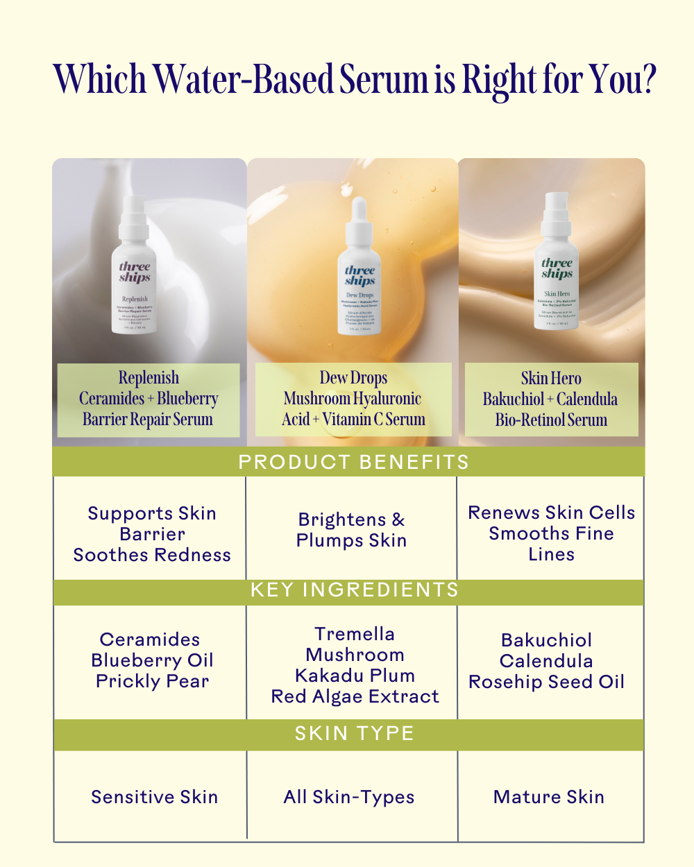 Three Ships (No Duties | Ships from US/CA | USMCA Compliant) - Wholesale Facial Serum/Concentrate - Replenish Ceramides + Blueberry Barrier Repair Serum5