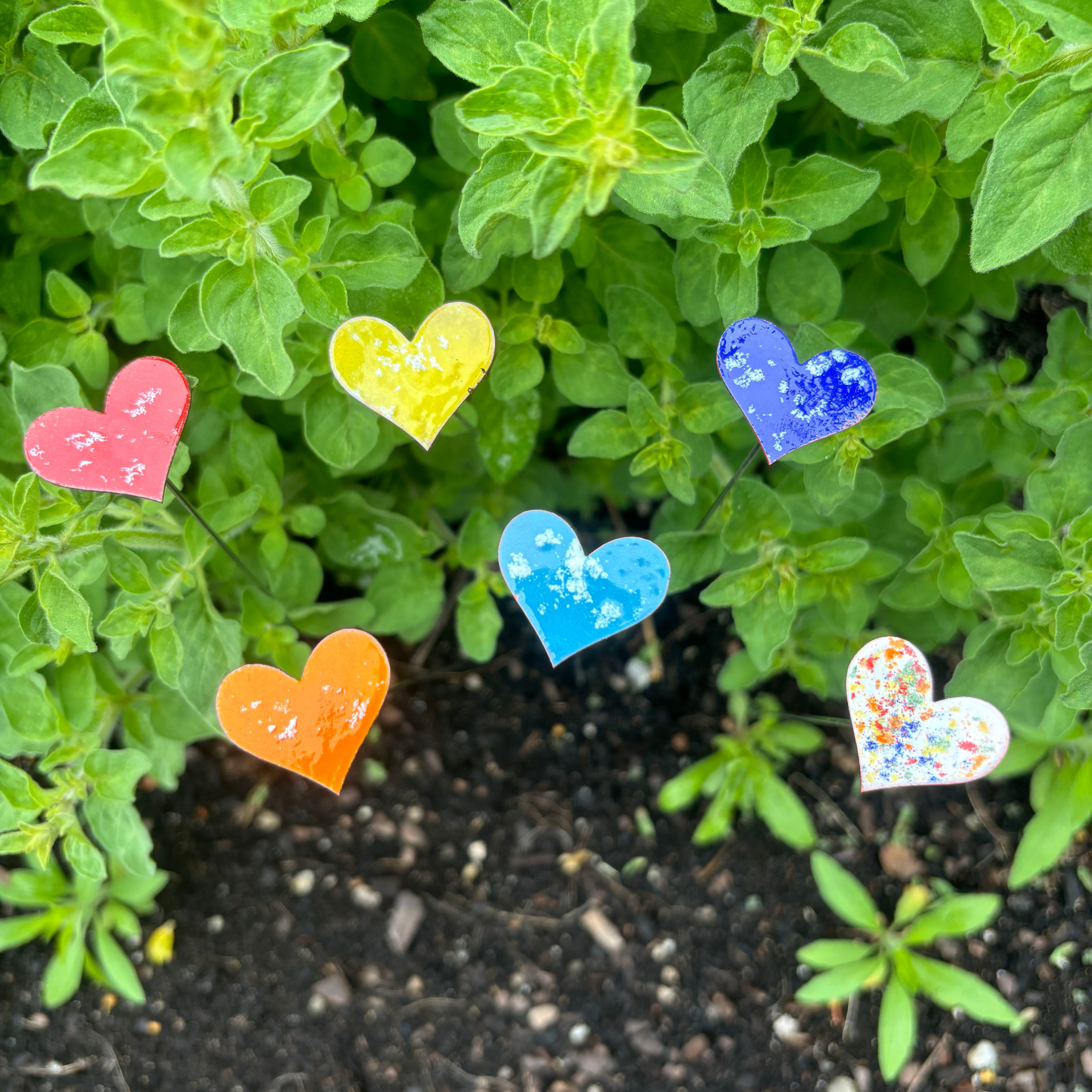 Clever Goods by Annabelle Noel Designs – wholesale Garden/lawn stake – Small Copper Enamel Hearts - Display Set with Bucket1