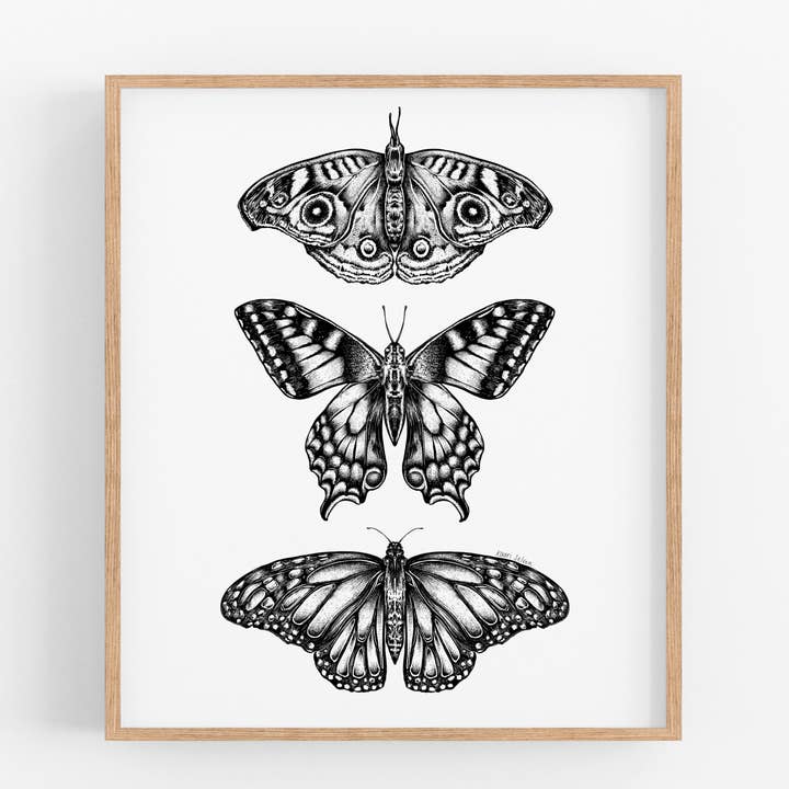 Three Butterflies Art Print for wholesale by Kaari & Co.