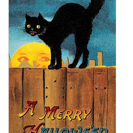 Laughing Elephant - Wholesale Postcard Set - Halloween Postcard Box - 36 Unique Vintage Postcards4