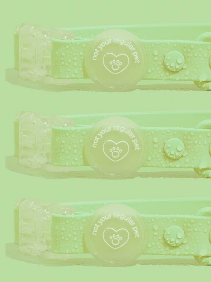 Wasabi Waterproof Collar for wholesale by Not Your Regular Pet