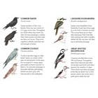 Chronicle Books - Wholesale Card Game - Match a Baby Bird3