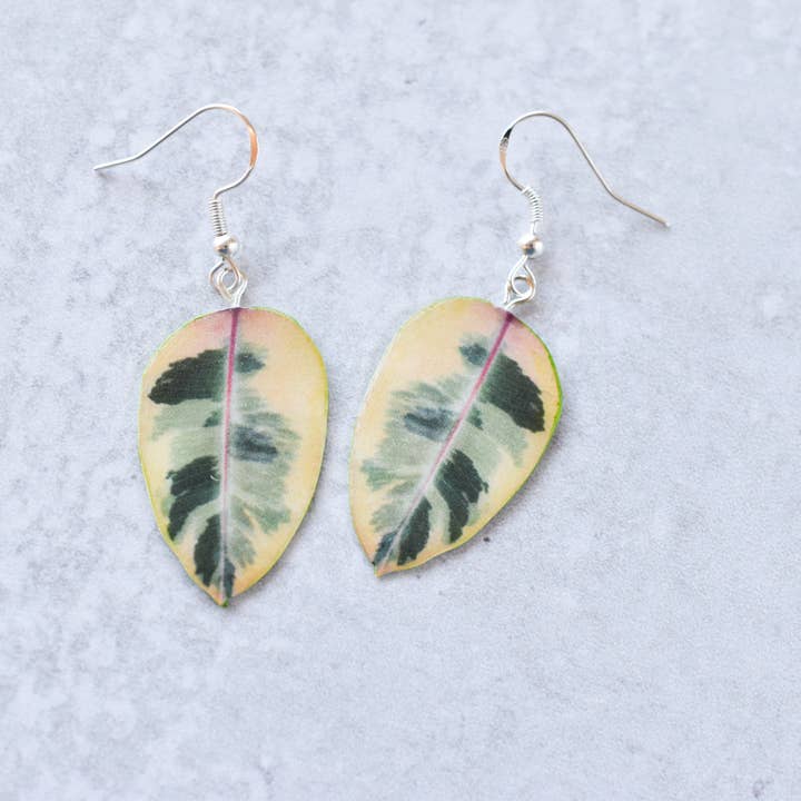 For the Love of Foliage - Wholesale Dangle Earrings - Ficus Tineke Plant Earrings | Leaf Earrings1