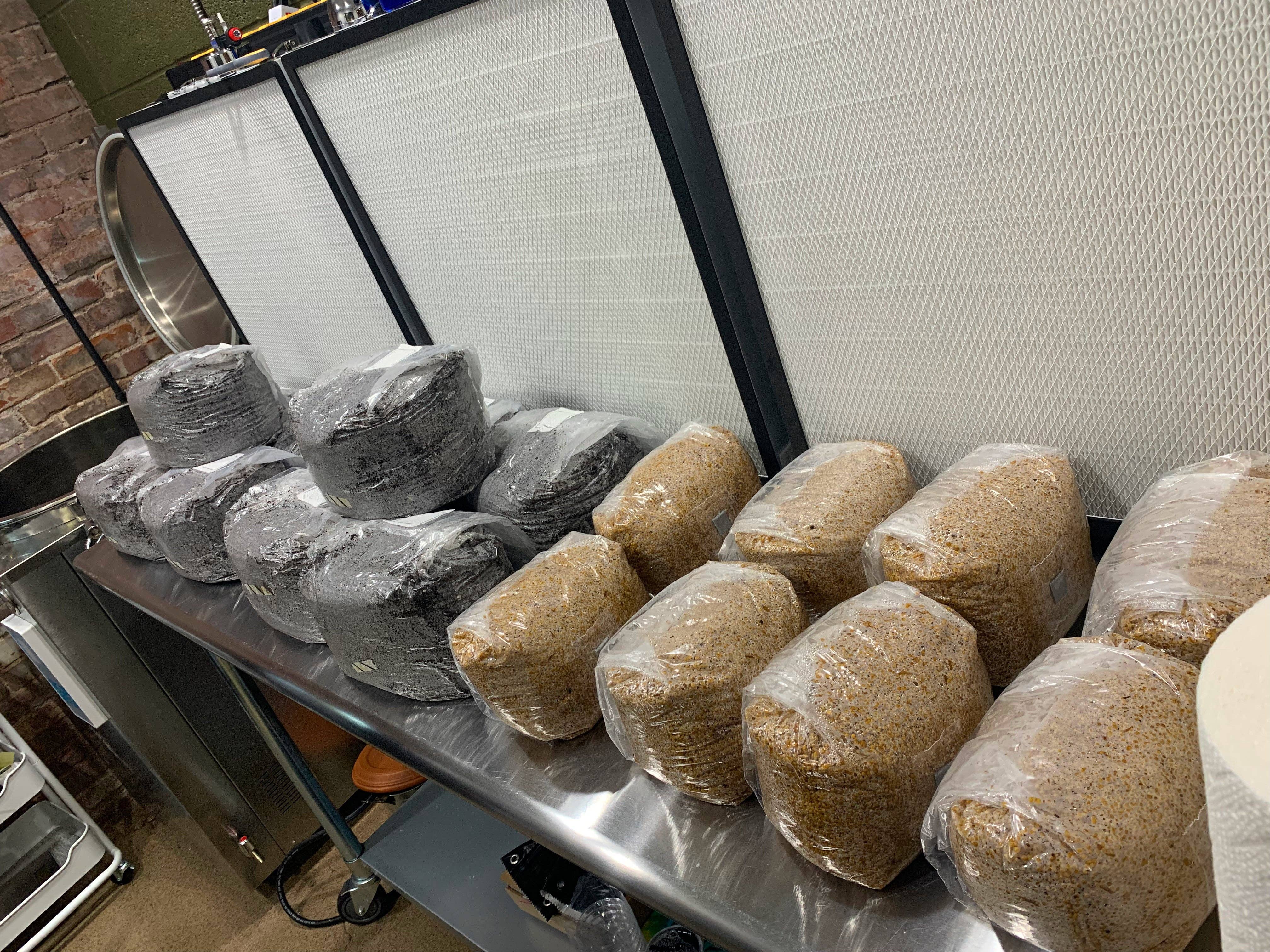 Urban Ag Supply - Wholesale Plant Seeds - MushBagz All-in-one "Black Magic" Mushroom Grow Bag1