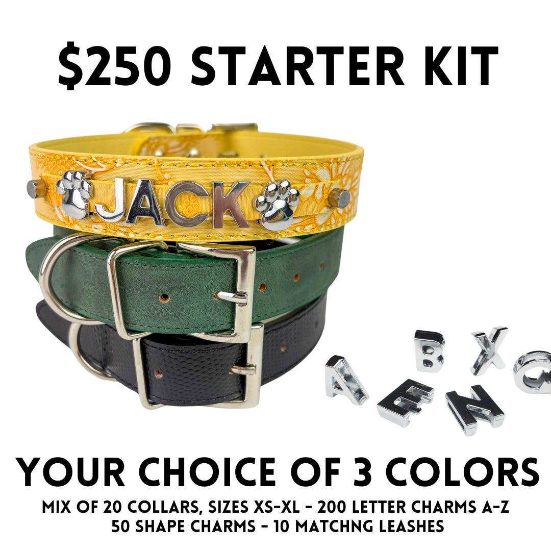 House of FurBaby – wholesale Halsband - Katt och hund – Gör-det-själv Startpaket för Husdjurskrage - Silver Matt (utan bling)1