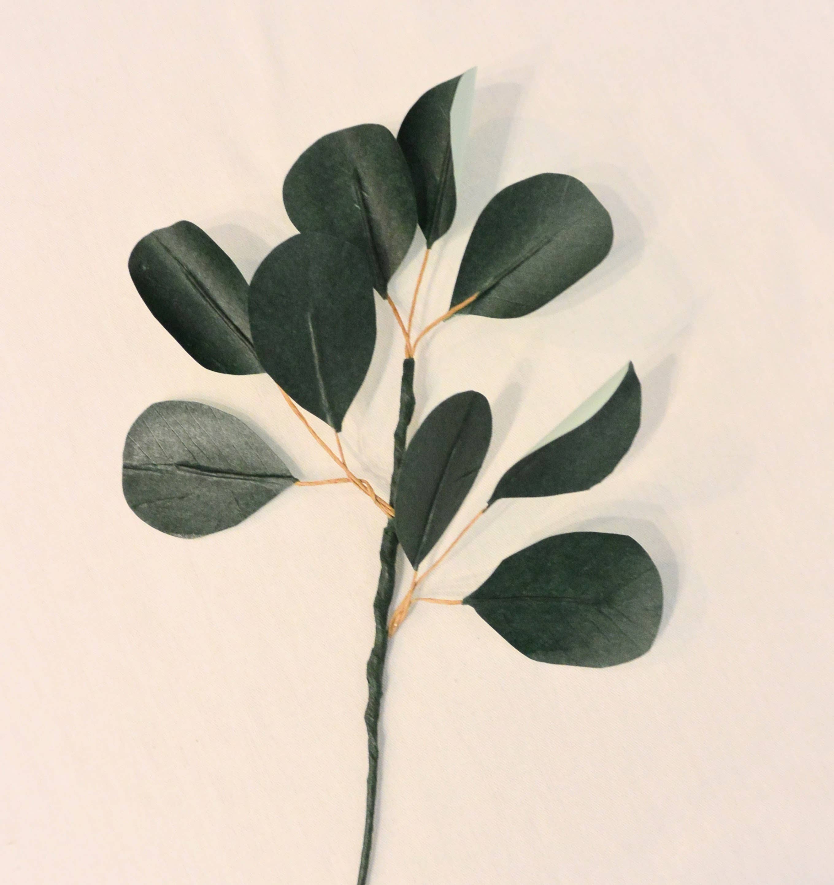 Beautiful Things By Bec – Großhandel Künstliche Blumen – Papier Eukalyptus0