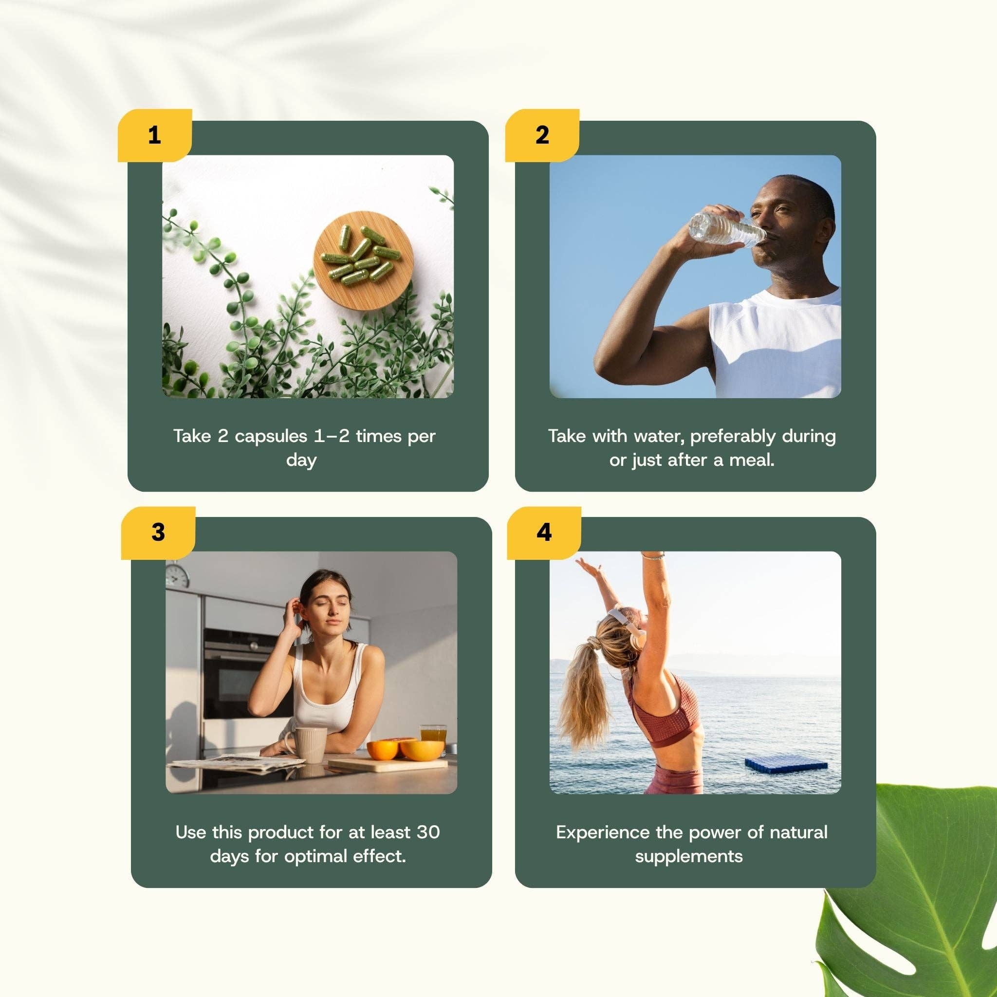 Cupplement b.v. - Wholesale Voedingssupplement/vitamine - Dennenkorrels Capsules 500mg 100 Capsules7